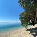 Dasa Konukevi 3*